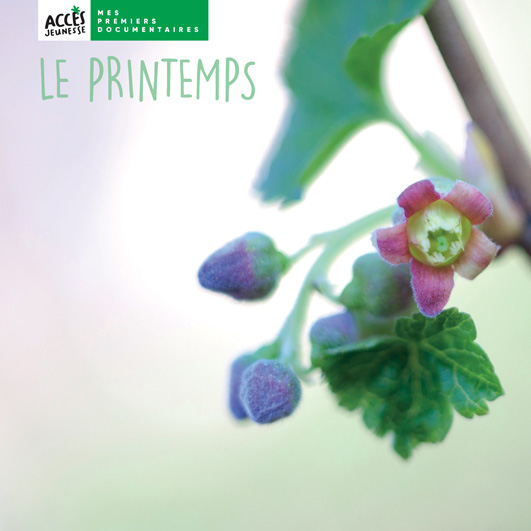 Couverture du livre photo Le printemps de la collection Mes premiers documentaires d'ACCÈS Jeunesse illustrée par une fleur en éclosion.